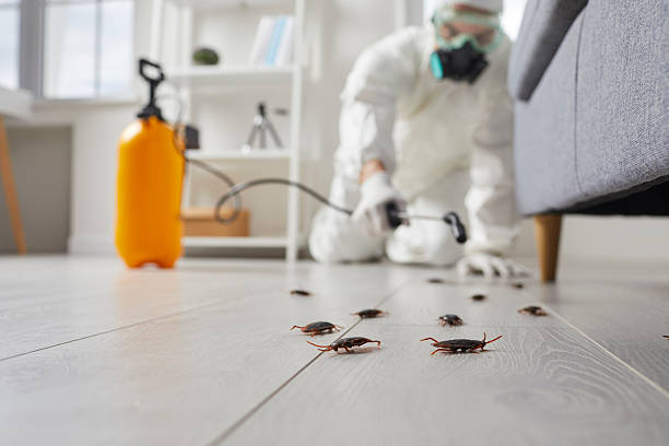 Commercial Kitchen Cockroach Control in Merriam Woods